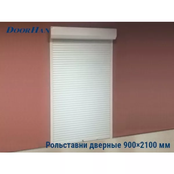 ДОРХАН Рольставни на двери 900×2100 мм из профиля RH45N с электроприводом